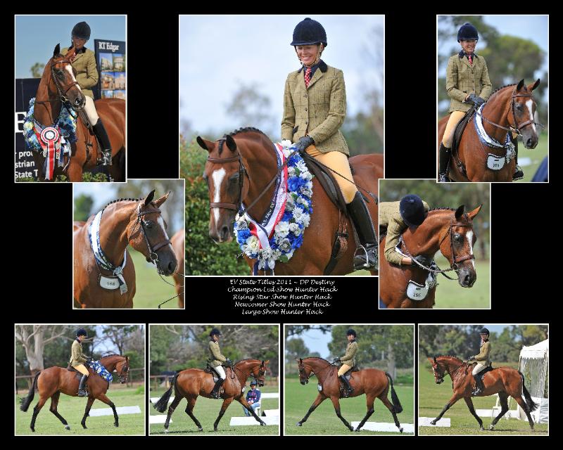 EQUESTRIAN SAMPLE_00008.jpg